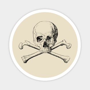 Skull and crossbones Magnet